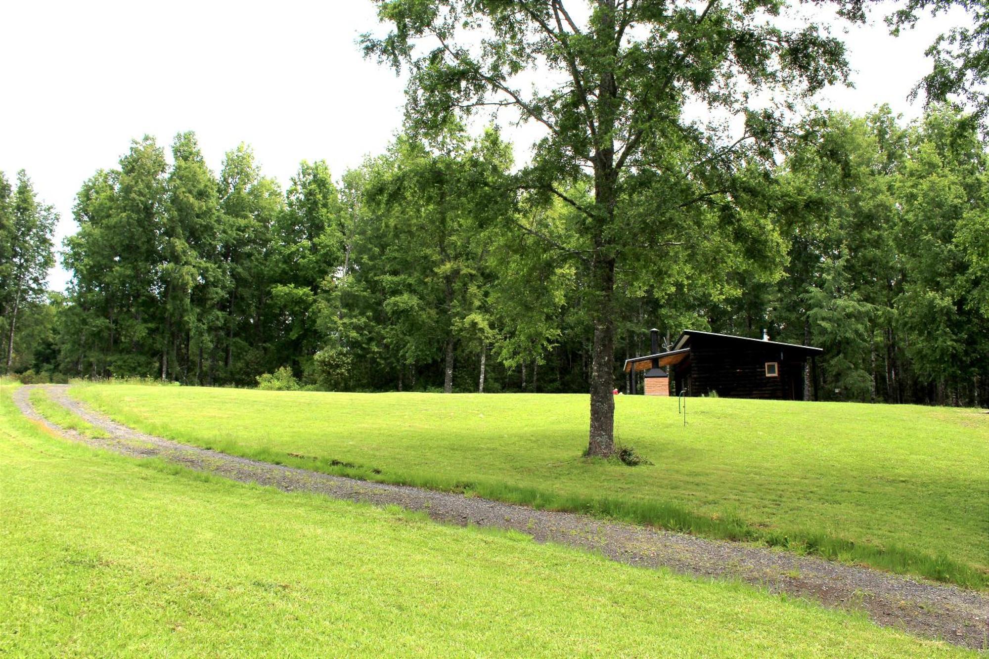 Cabanas Am Berg Pucón Exterior foto